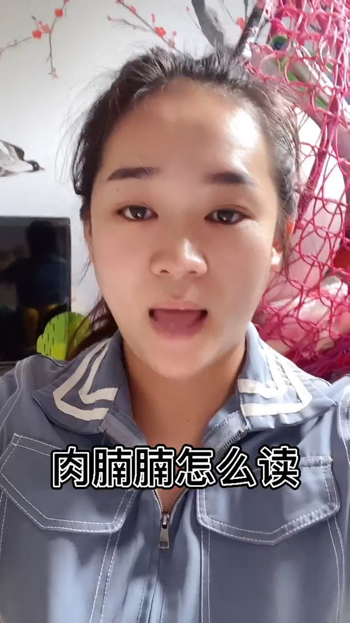 肉腩腩怎么读我教你