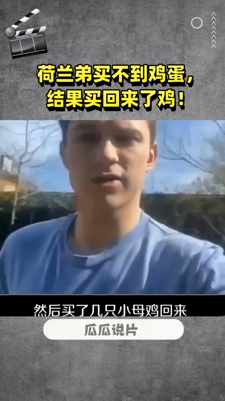 荷兰弟买不到鸡蛋, 结果买回来了鸡!