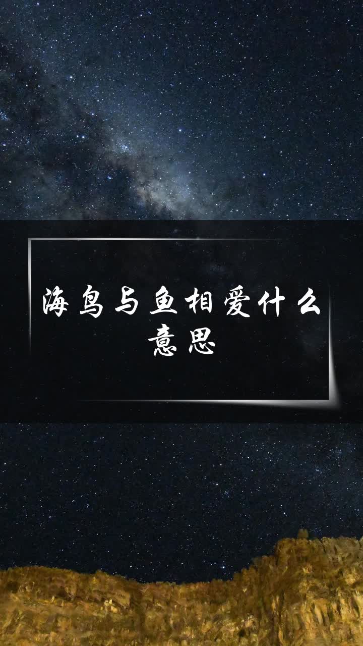 海鸟与鱼相爱什么意思