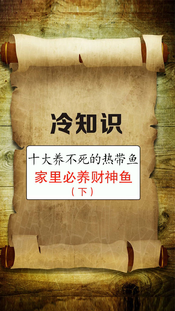 #我要上热门#十大养不死的热带鱼,家里必养财神鱼