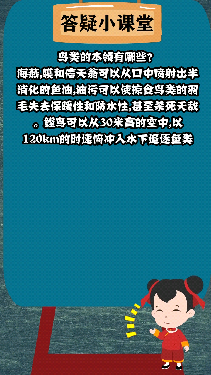 鸟类的本领有哪些?