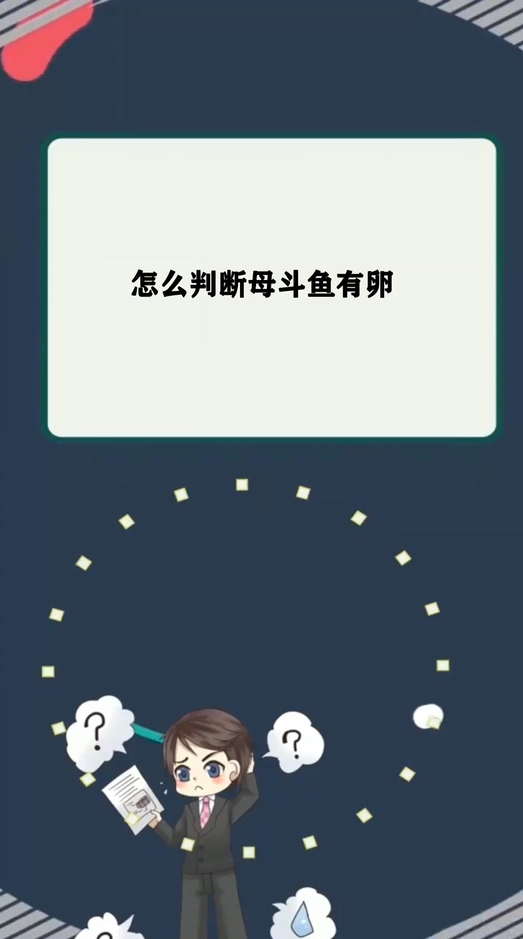  怎么判断母斗鱼有卵