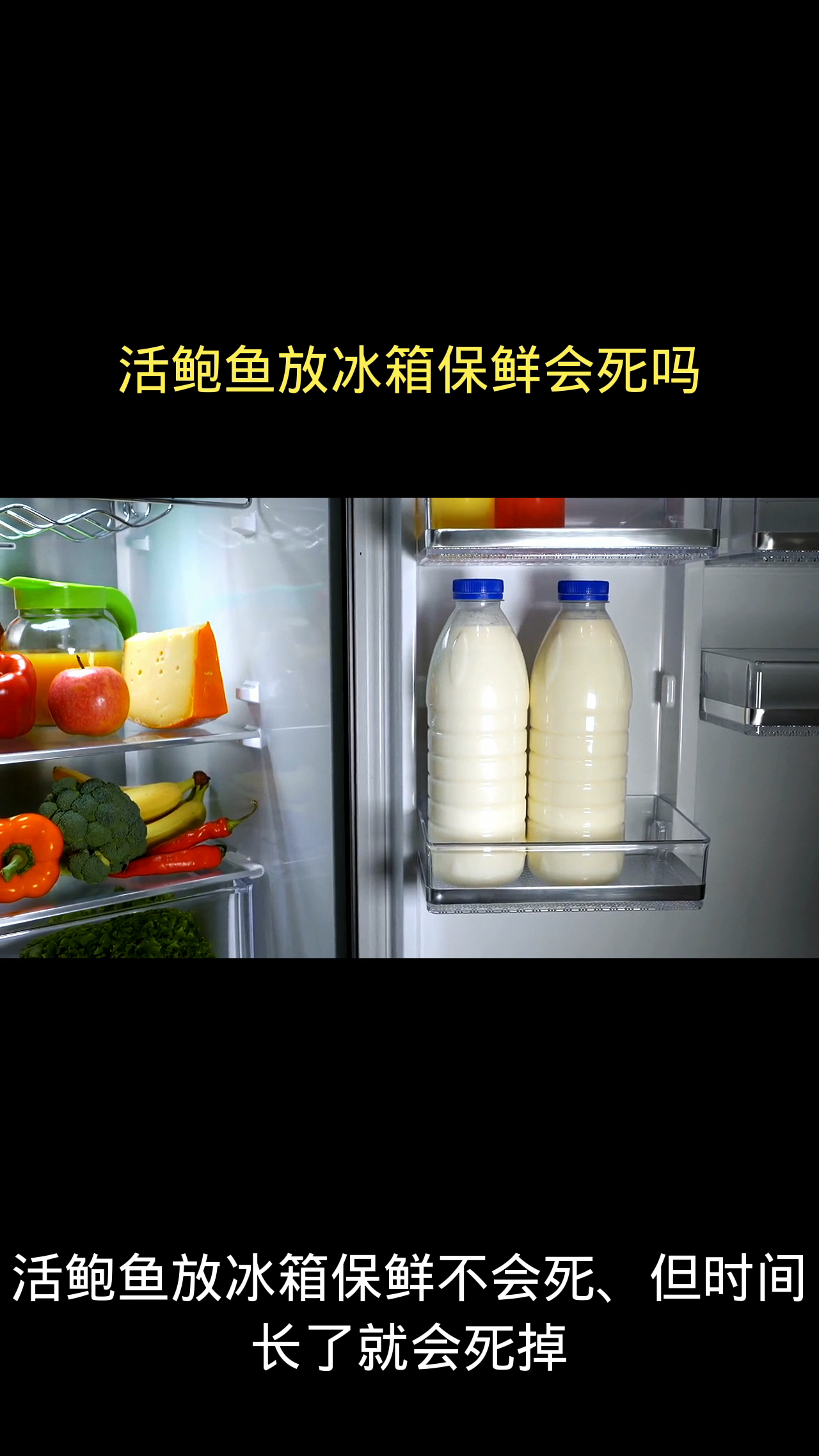 活鲍鱼放冰箱保鲜会死吗