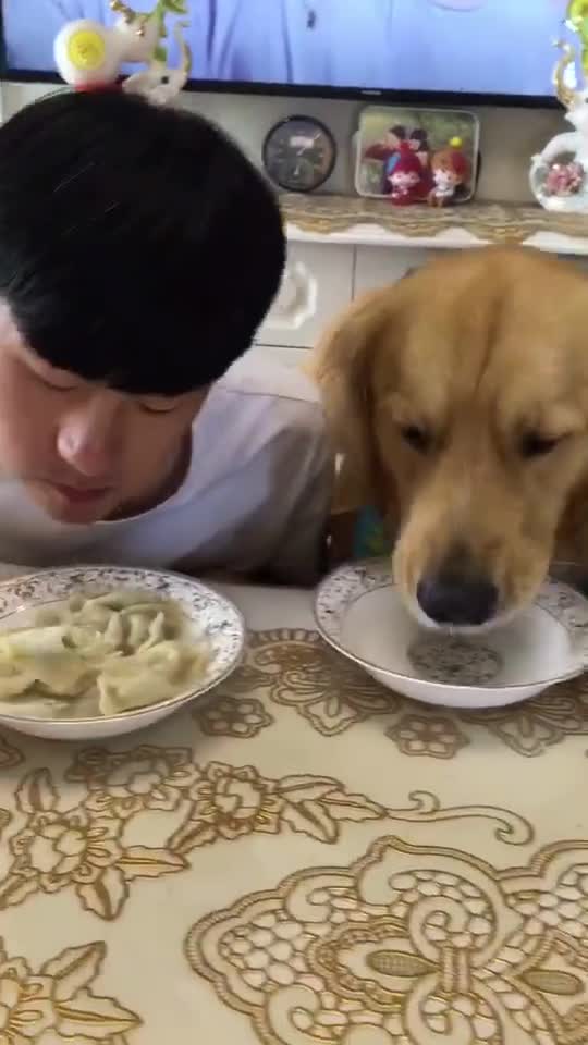 比赛吃饺子