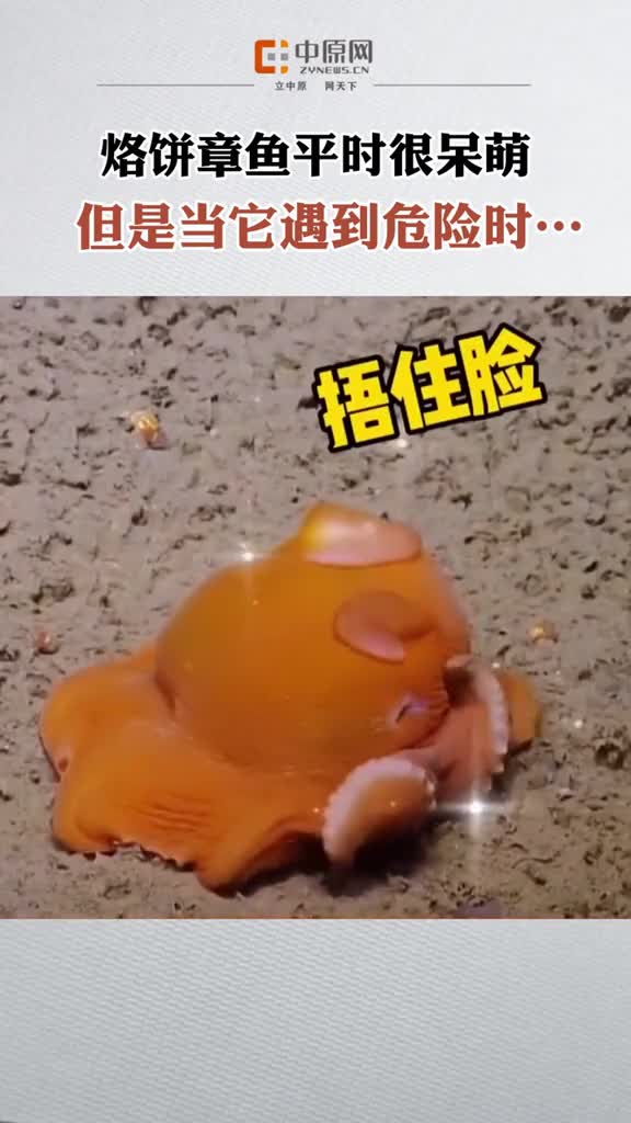 有些动物看起来很呆萌,当遇到危险时,往往会有你意想不到的大招!