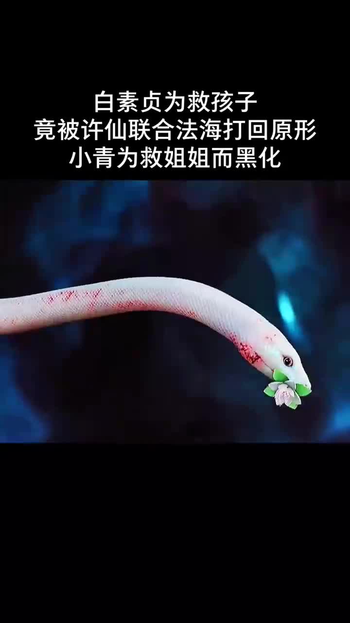 白素贞为救孩子竟被打回原形,小青为救姐姐而黑化