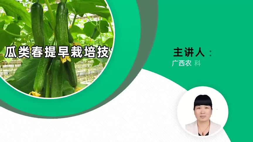 蔬菜种植品种选择很关键,南方特色瓜类优质品种推荐,菜农收藏!