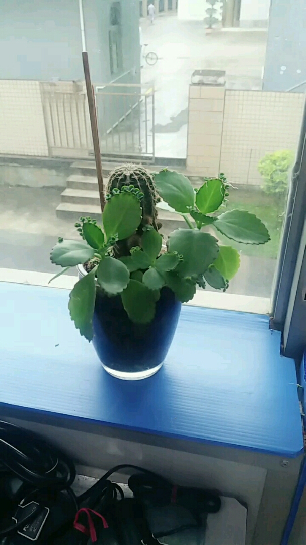 分享视频