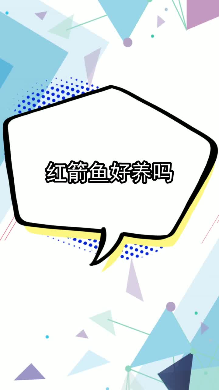 红箭鱼好养吗,你看懂了吗