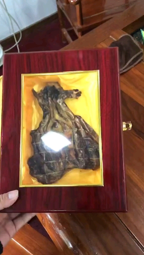 鳄鱼鞭 男人们的战斗法宝 女人们的最爱