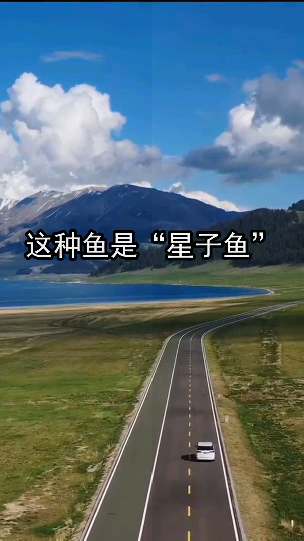 小鱼咬脚真的吃死皮吗