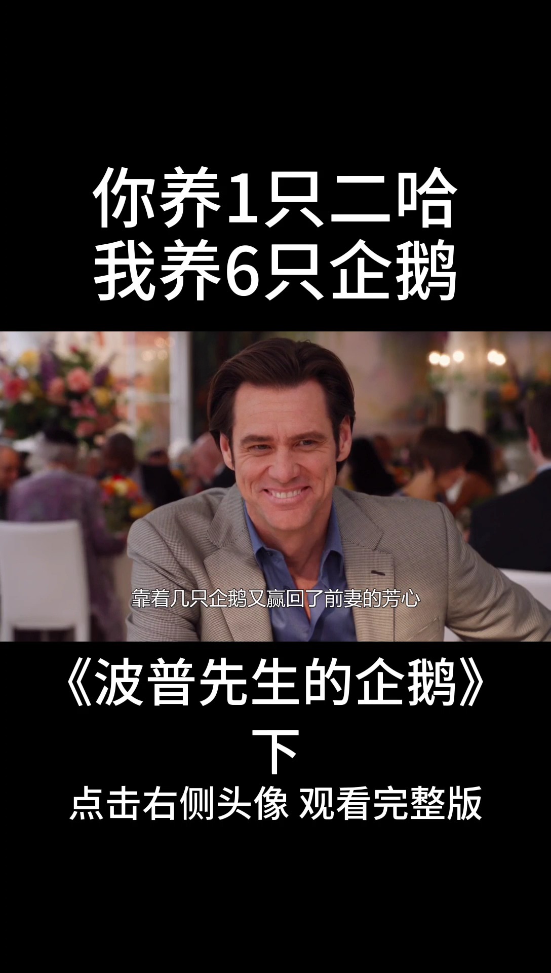 我想用六只企鹅跟你换一只拆家的二哈
