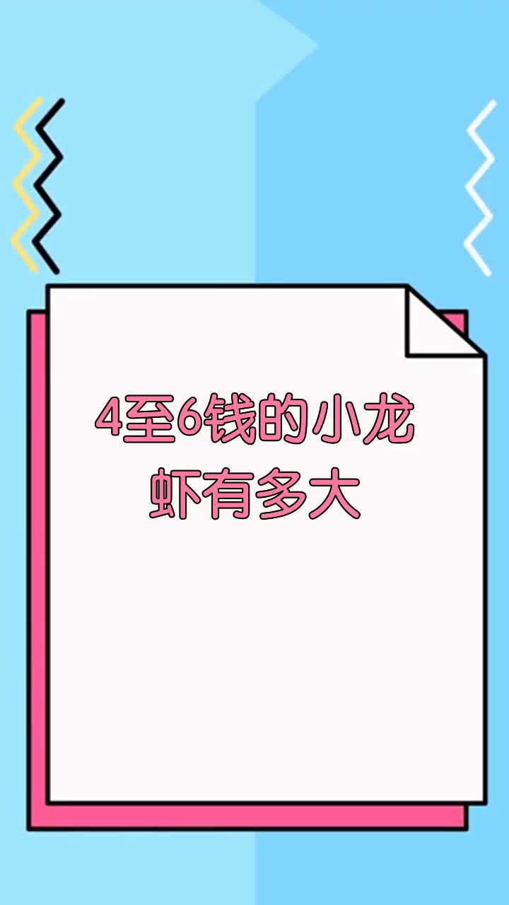 4至6钱的小龙虾有多大