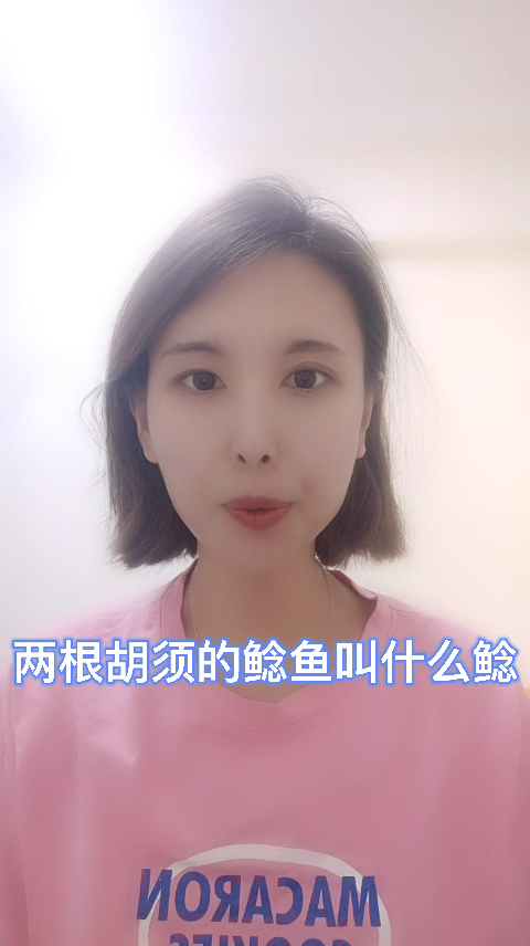 两根胡须的鲶鱼叫什么鲶