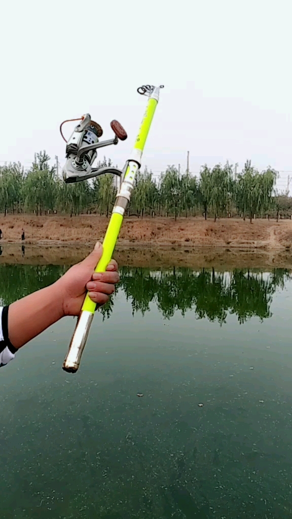 飞鲨海竿