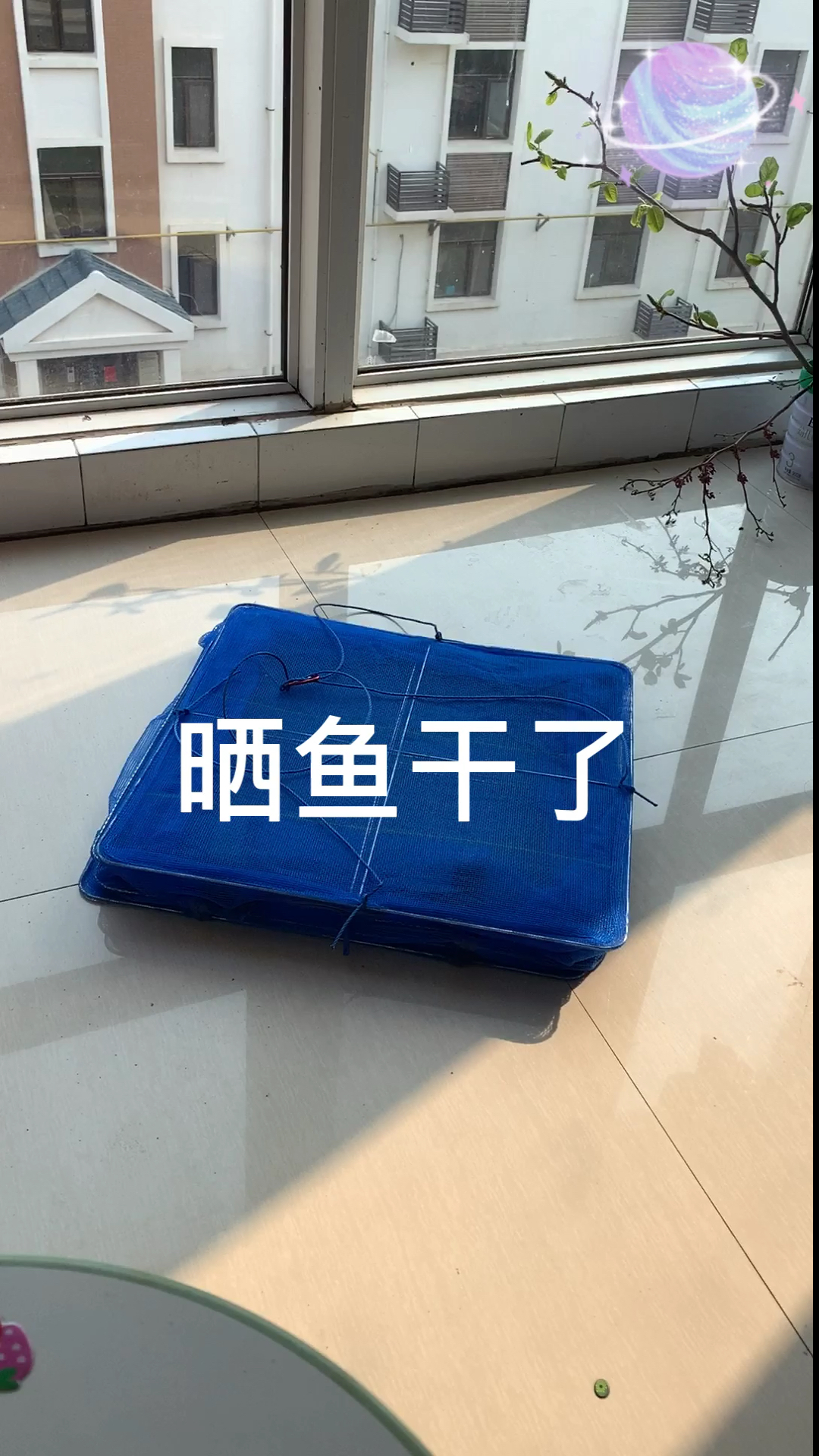 #我要上热门#晒鱼网 好东西 干净卫生