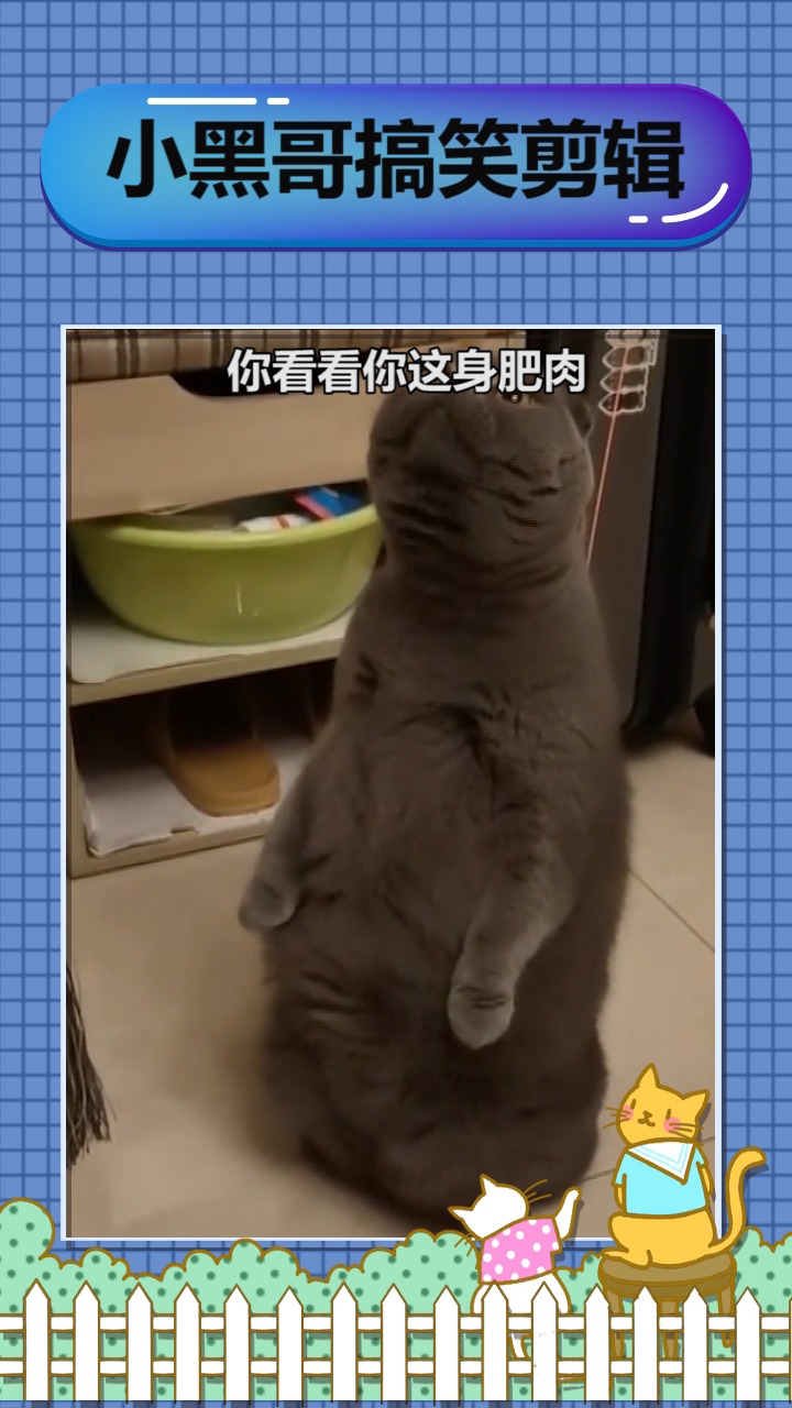 你看看你这身肥肉