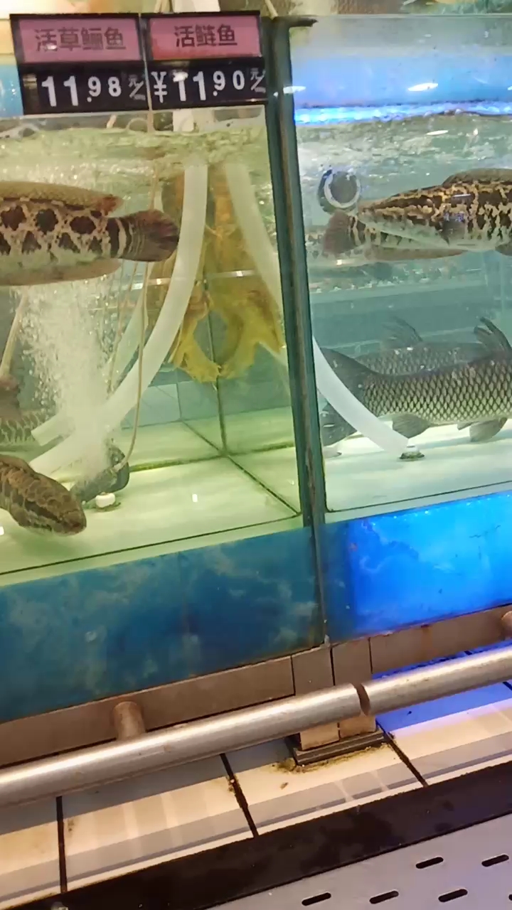 分享视频