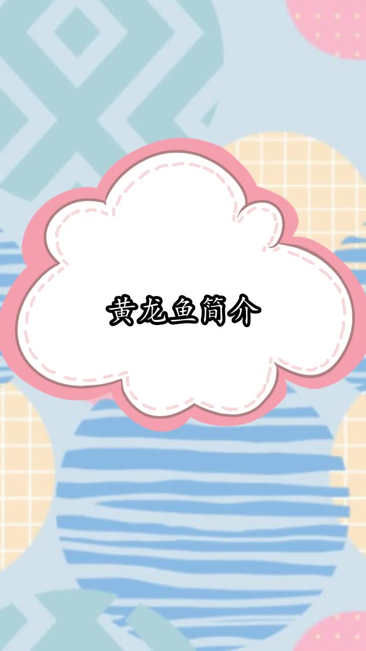 黄龙鱼简介,你听懂了吗