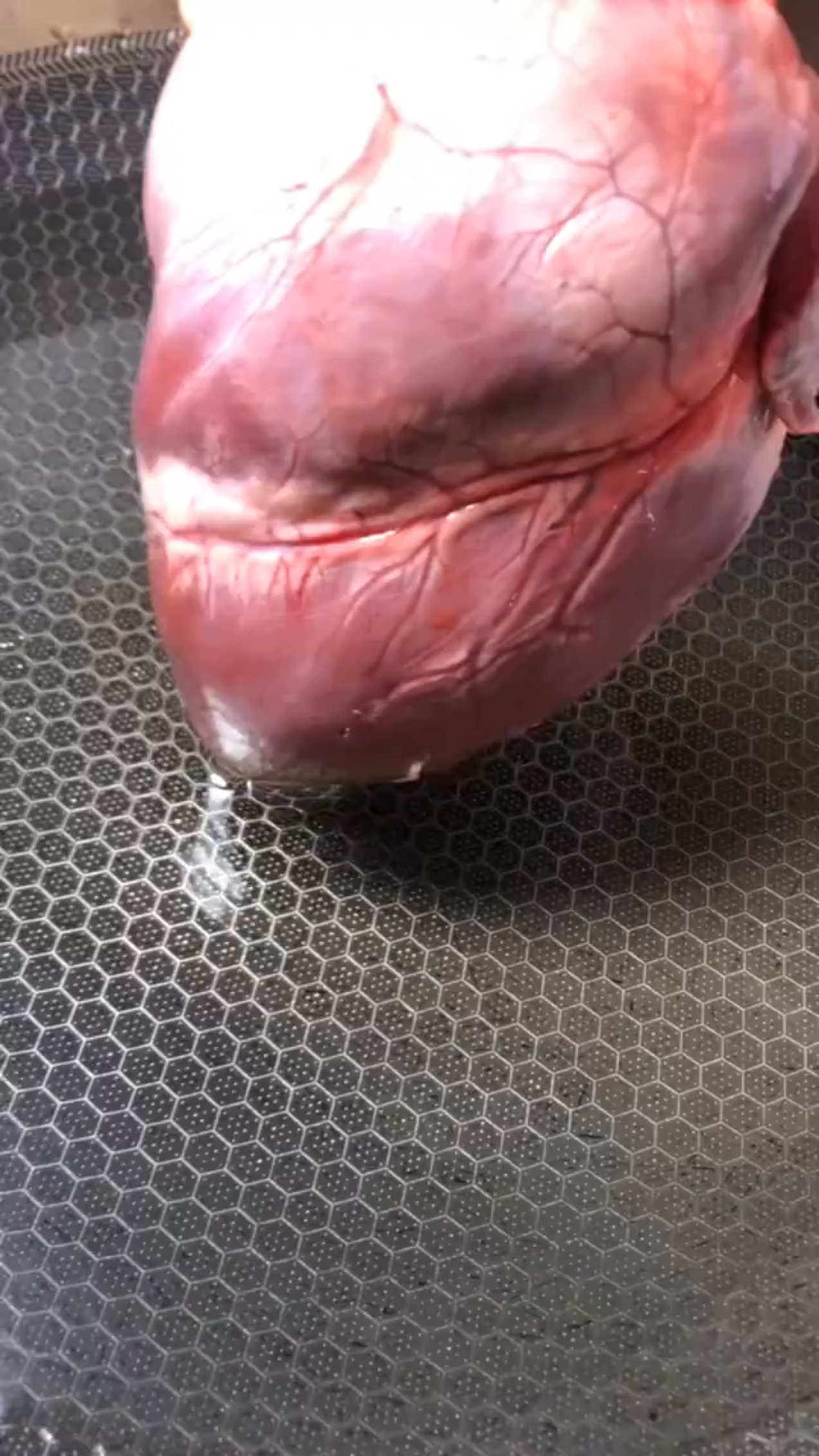 赛狗肉的做法