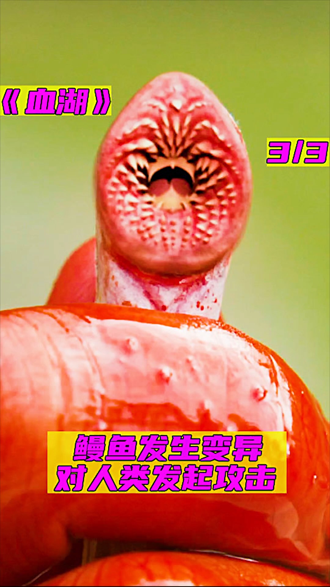#好看电影#你喜欢吃烤鳗鱼吗?
