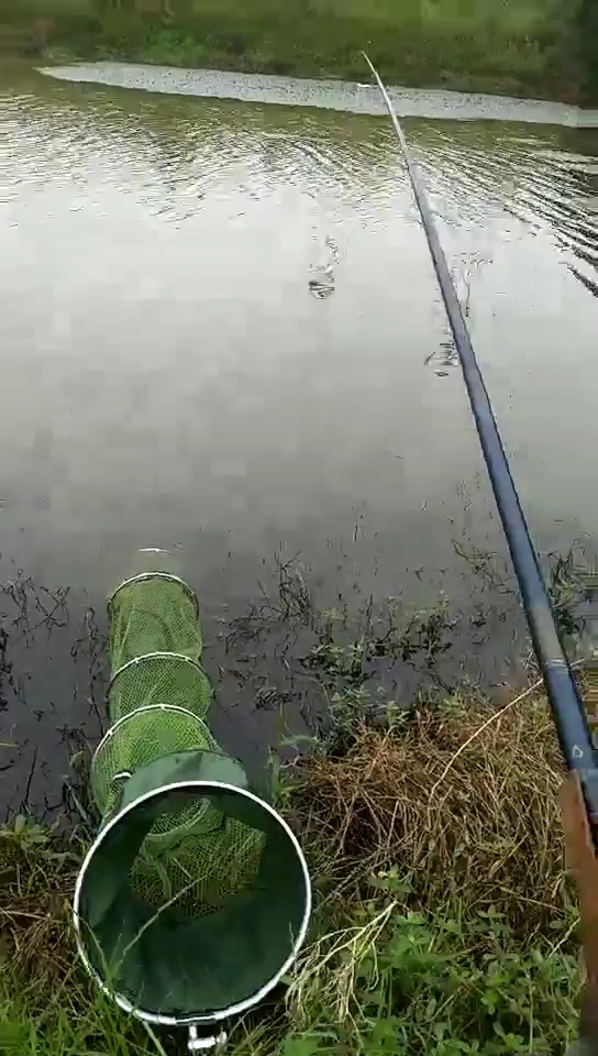在河边钓鱼