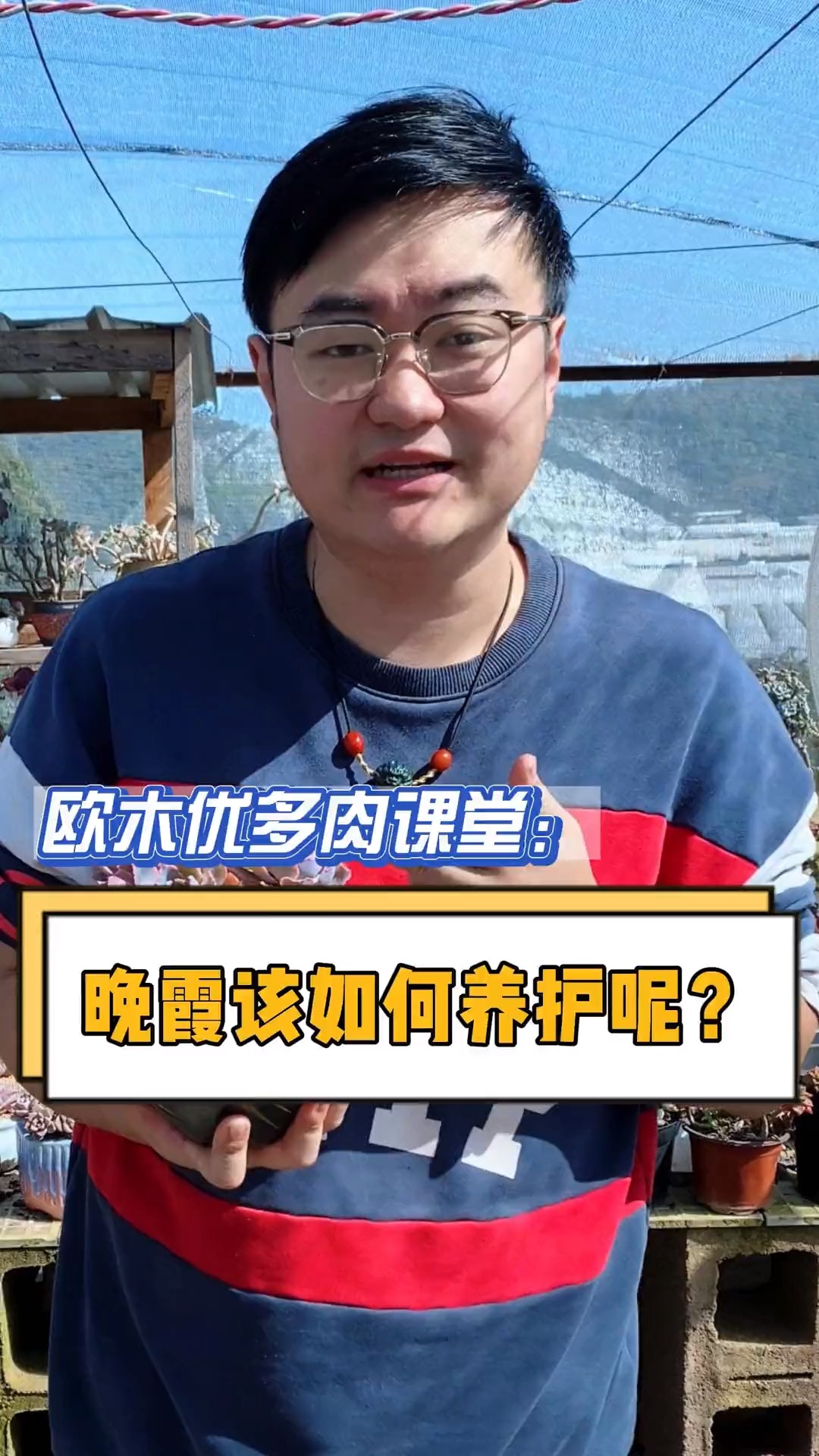 晚霞喜水喜肥怕冷夏季生长,要多注意通风干透浇透#多肉#多肉植物#多肉养护#