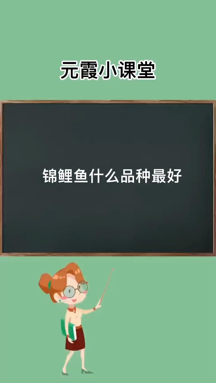 锦鲤鱼什么品种最好