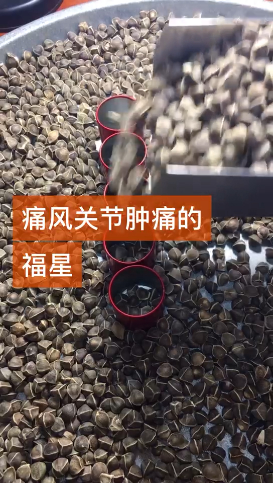 辣木籽～神奇只树,空腹吃五粒,喝水马上排便。其功效有降血压血脂血糖等……