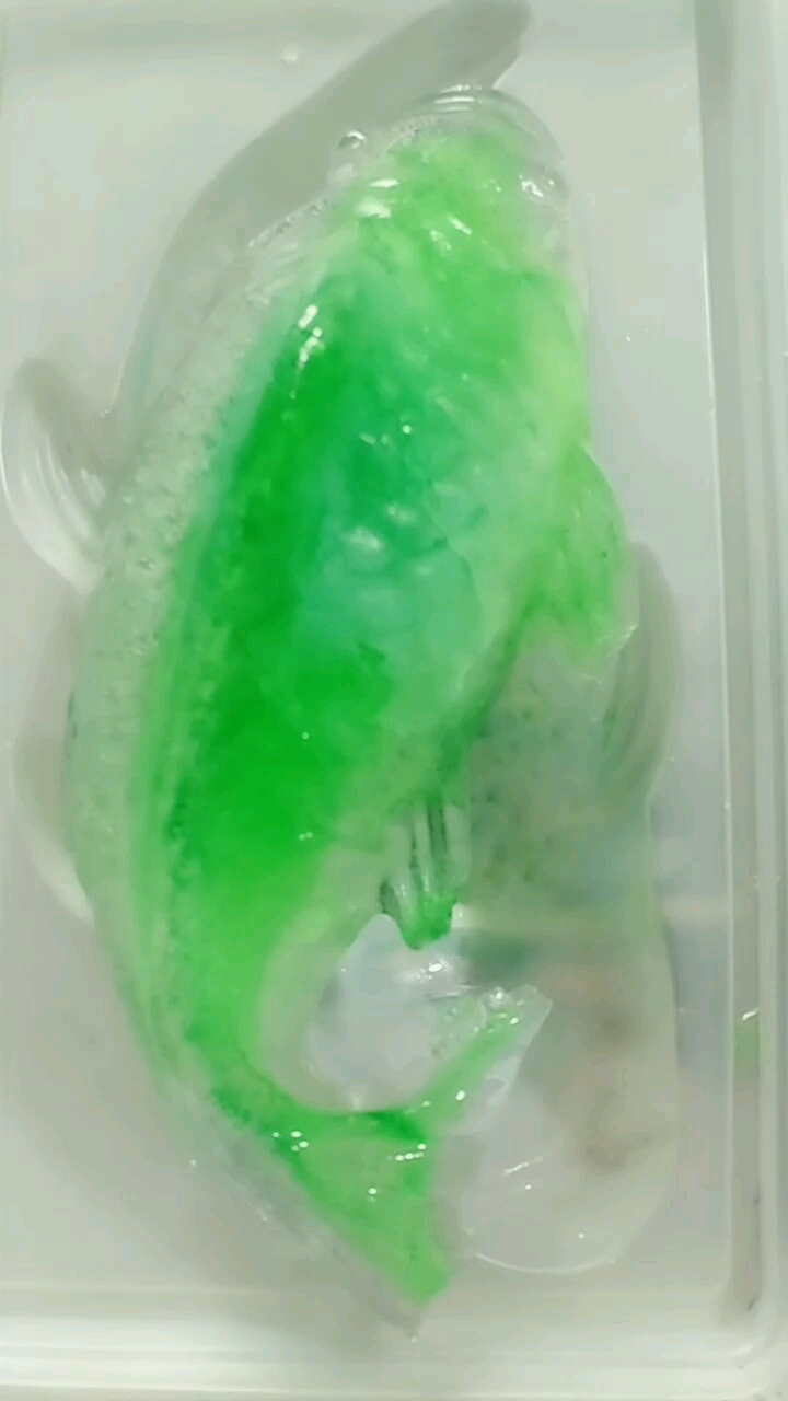 #脱掉棉袄,一秒变美#红鲤鱼与绿鲤鱼的故事!关注我关注全民小视频
