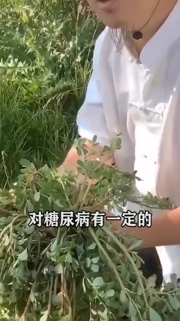 农村不用花钱的野菜,营养高能治病建议收藏,