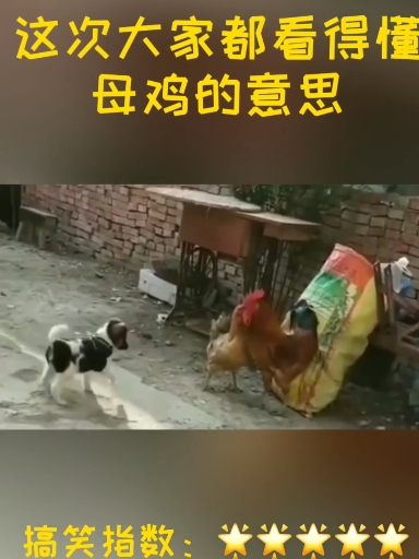 #宠物最可爱的样子#()()接受小心心