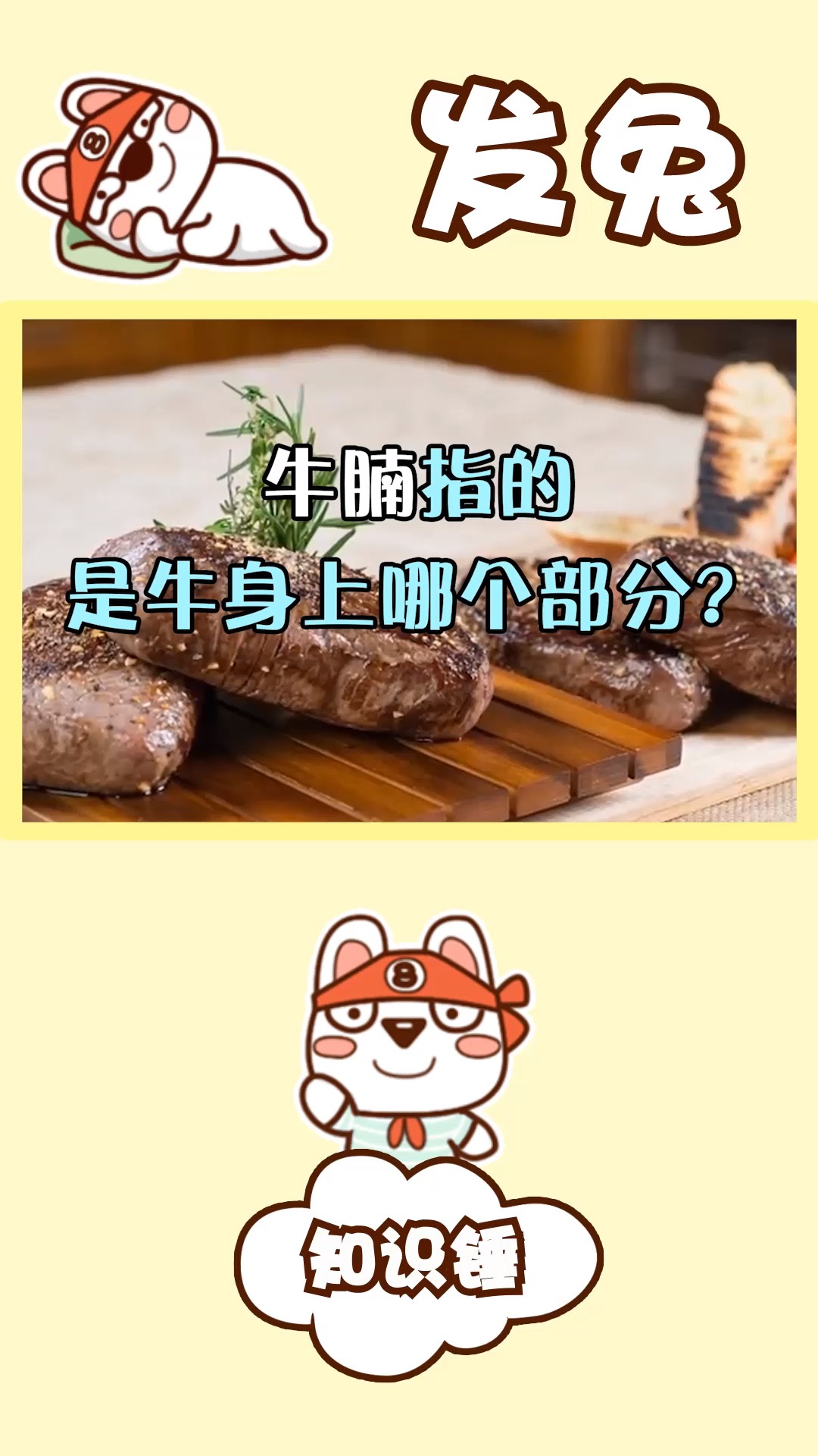 牛腩指的是牛身上那个部分?