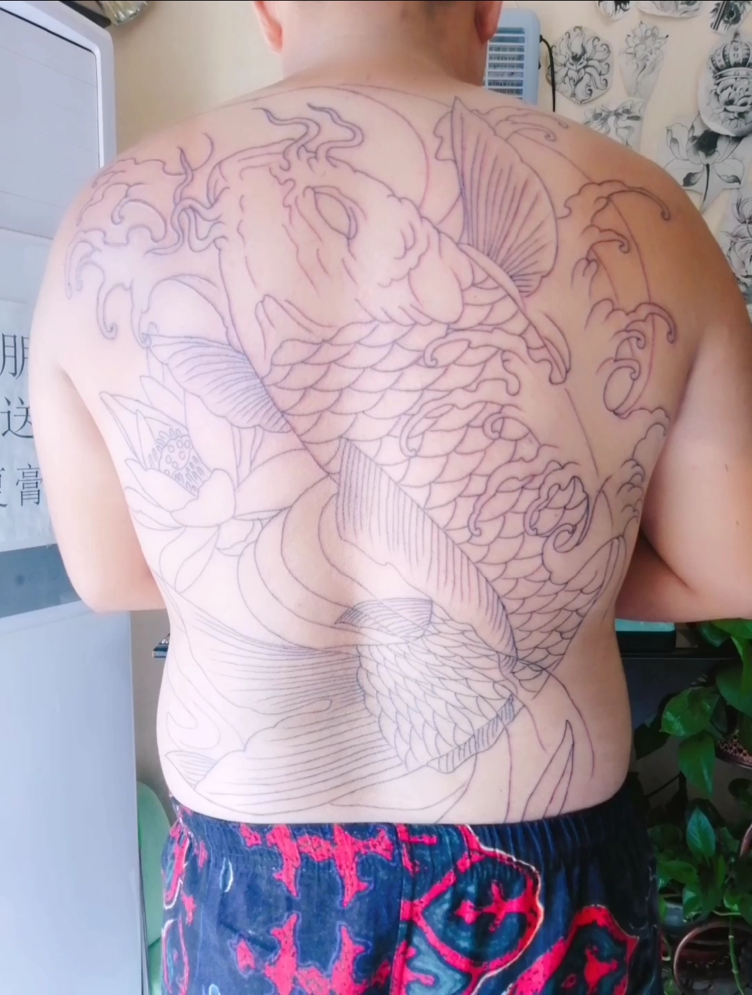 满背鲤鱼初步线条完成,下次继续!