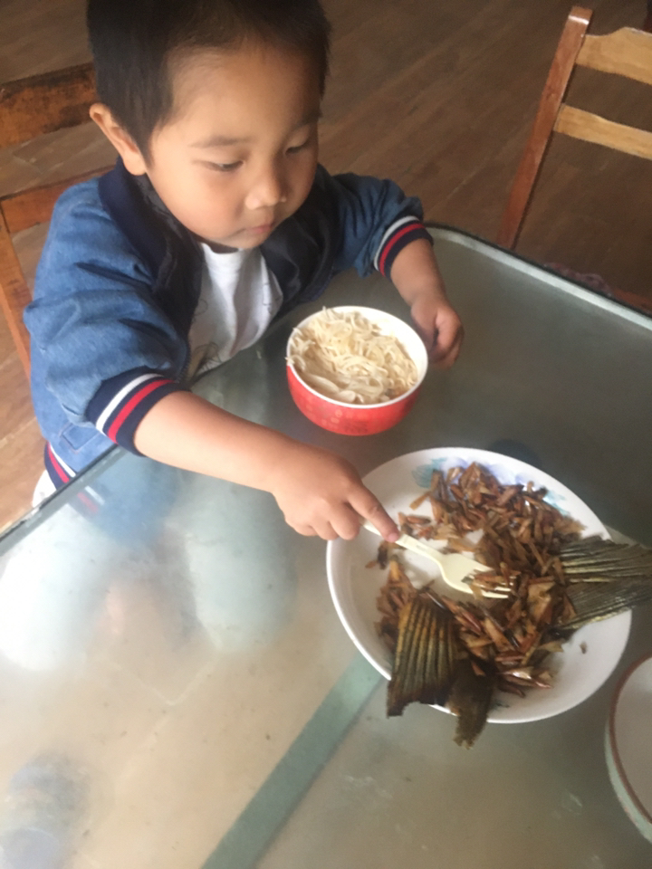 鱼鳞是特殊的保健食品。它含有较多的卵鳞脂,有增强大脑记忆力、缓延细胞衰老的作用