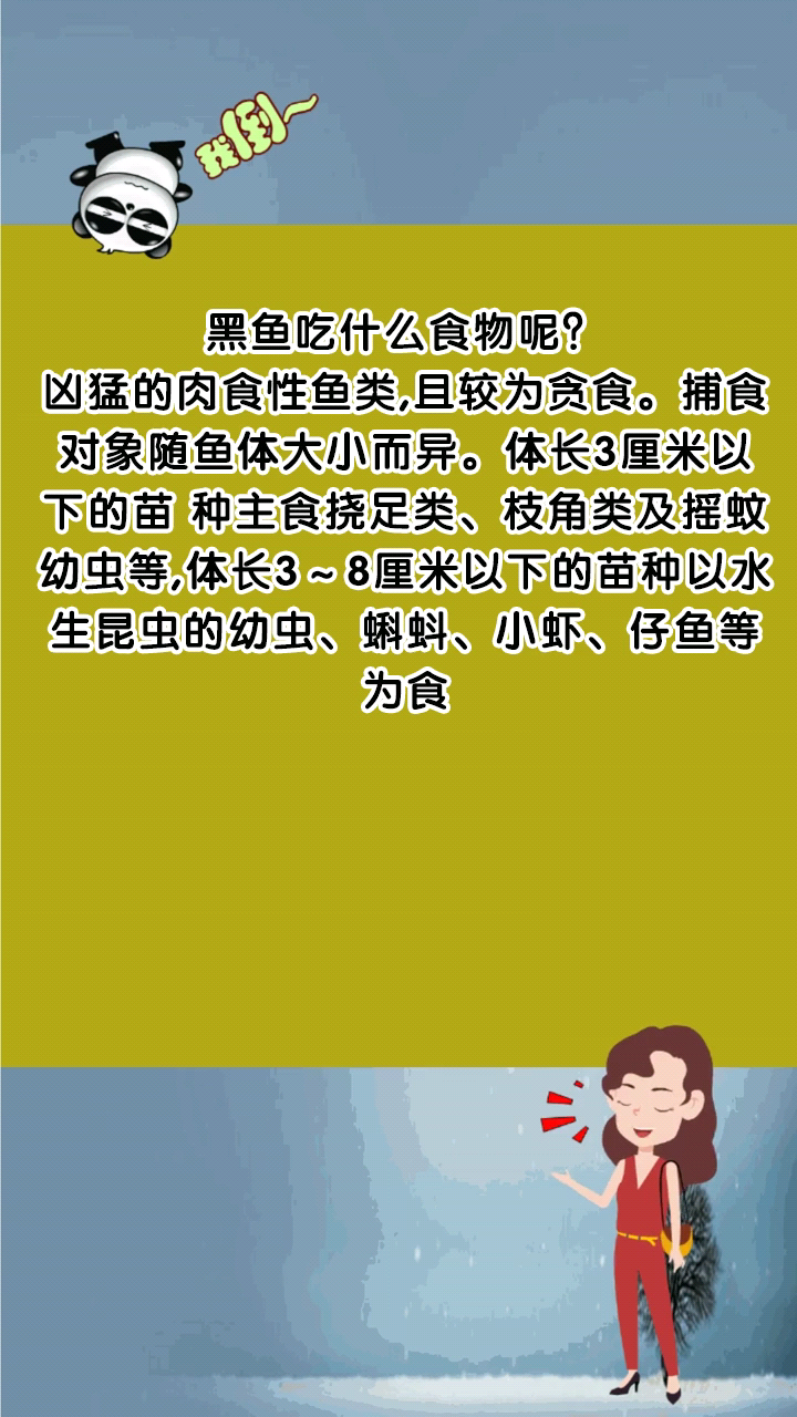 黑鱼吃什么食物呢?