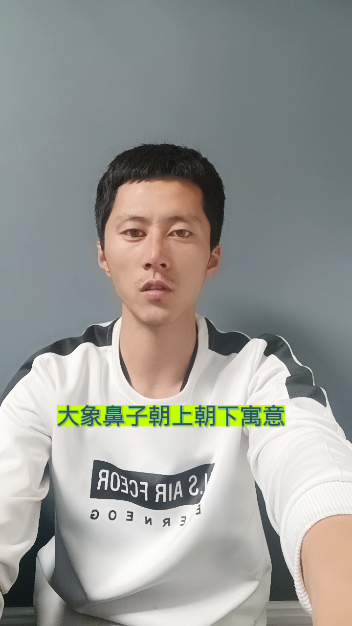 大象鼻子朝上朝下寓意