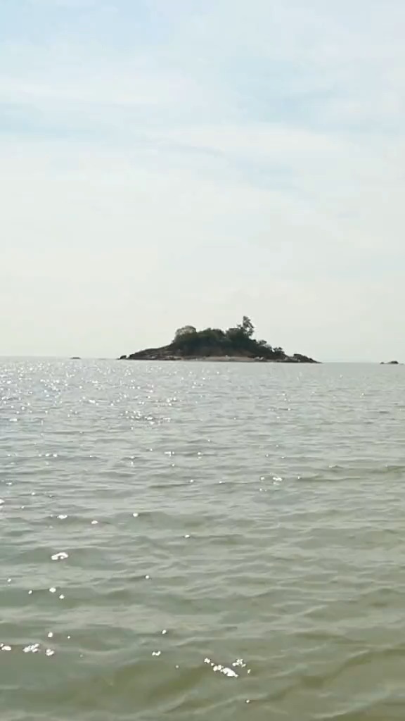 皮皮虾跟我走,去找一个蓝朋友