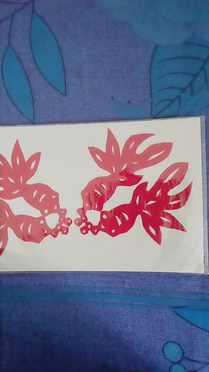 金宝鱼
