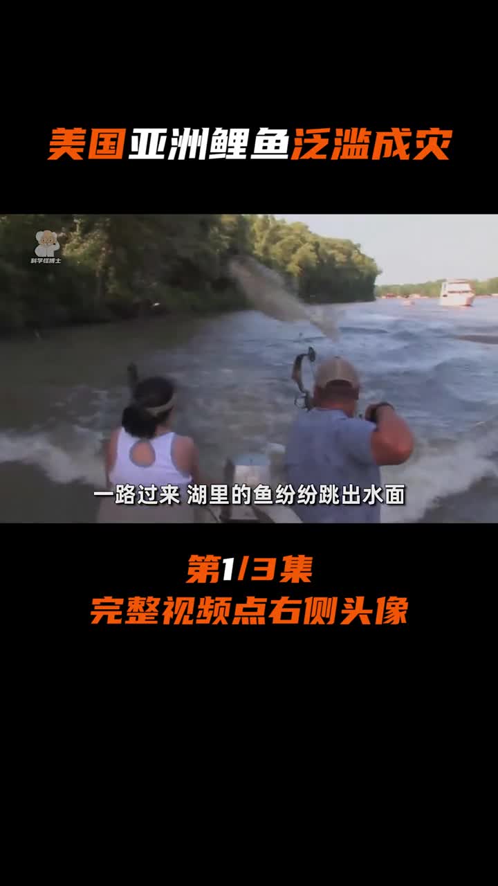 亚洲鲤鱼为何在美国泛滥成灾?