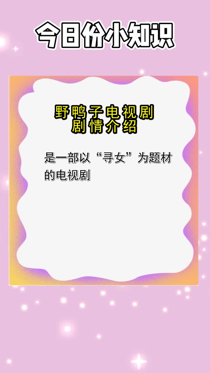 野鸭子电视剧剧情介绍,你搞懂了吗
