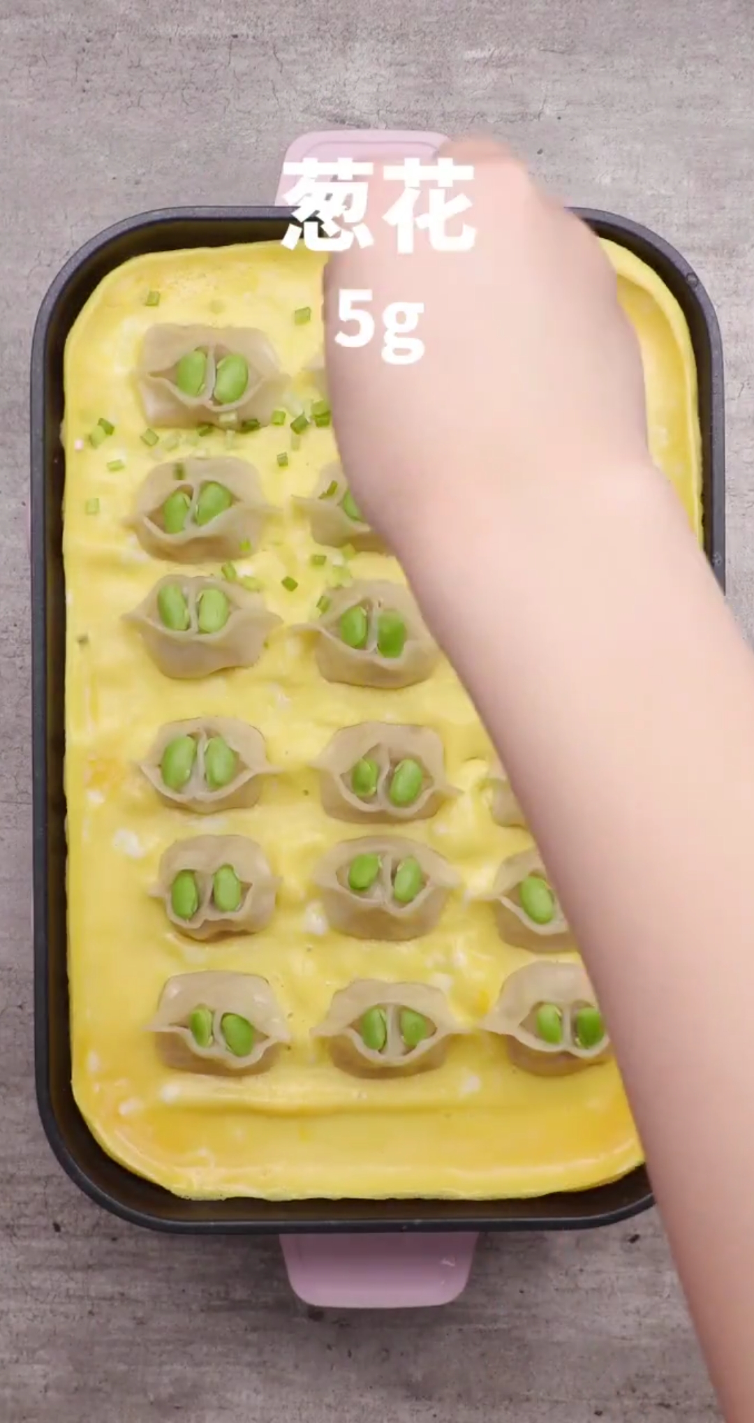 【大眼抱蛋煎饺】饺子新花样,我一个人能吃一锅~#创意 #美食