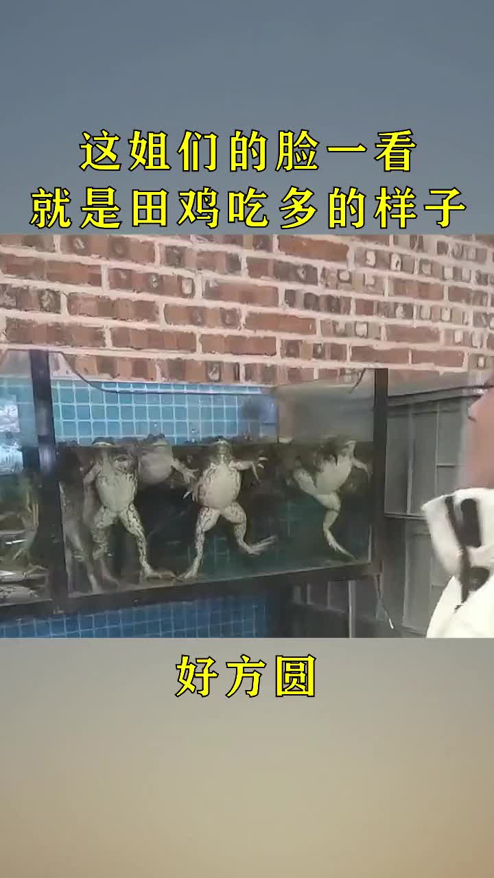 这姐们的脸一看就是田鸡吃多的样子!