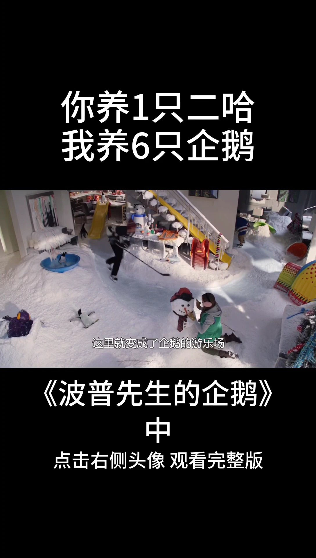 我想用六只企鹅跟你换一只拆家的二哈
