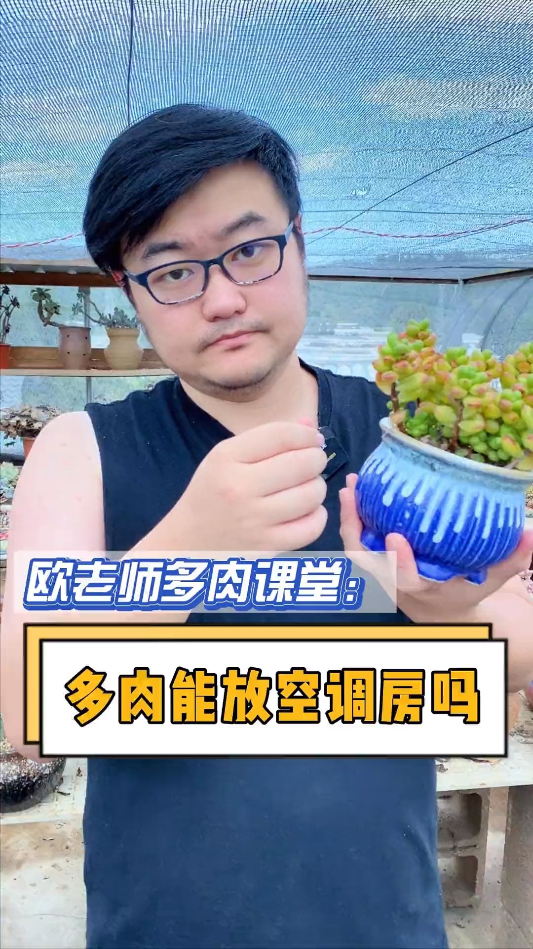 #有一种可爱叫多肉!#多肉植物可以放空调房里养吗?这个视频回答你#多肉 #多肉植物#多肉养