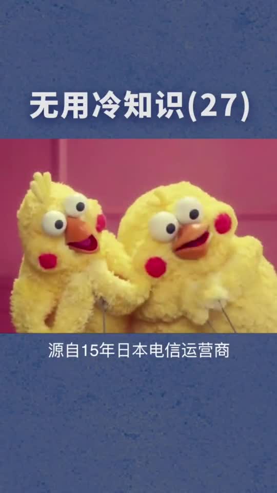 #冷知识#什么?原来表情包里的这俩货不是鸡