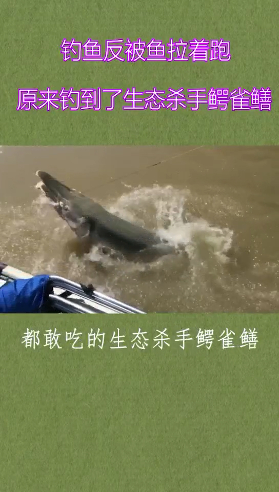 钓鱼不成反被钓,原来钓到了生态杀手。