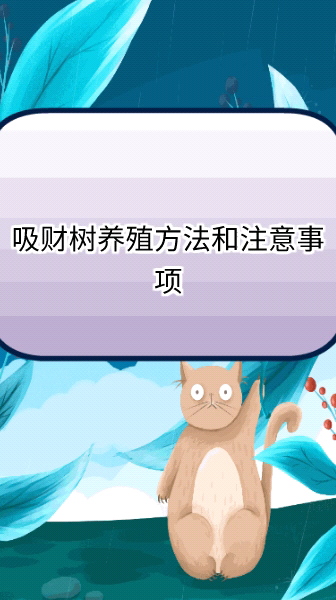 吸财树的养殖方法和注意事项
