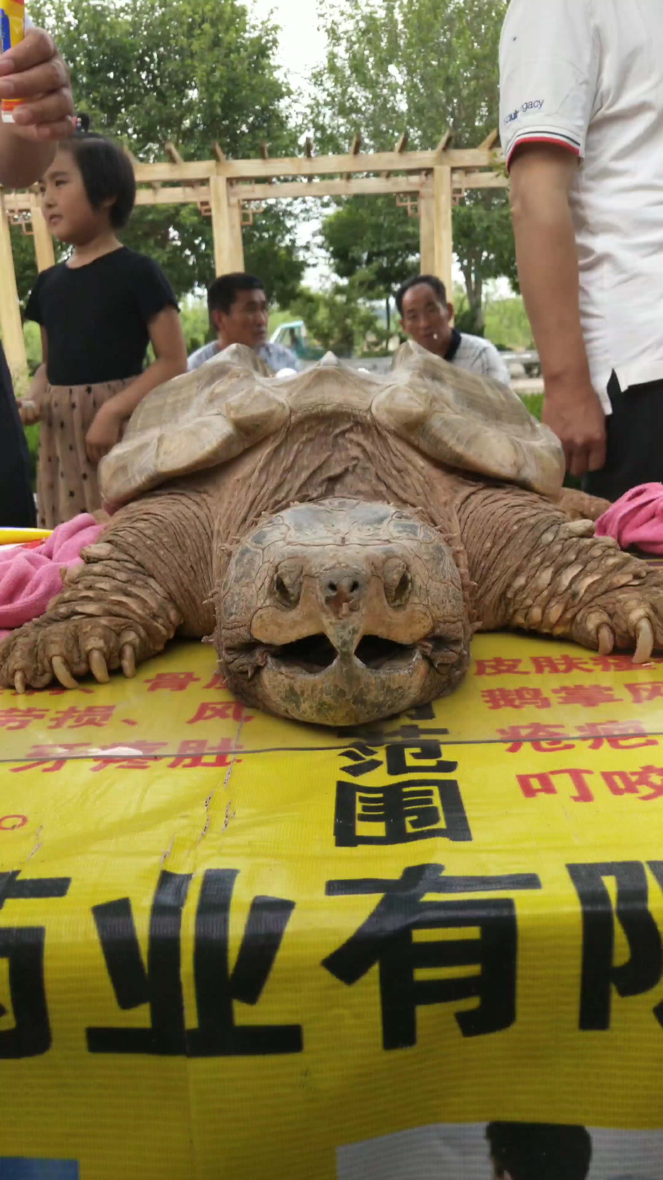 多可怜,没有自由,一晒就是一天!