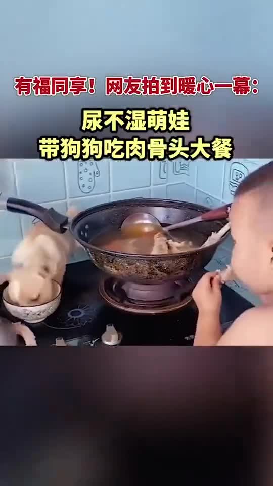 有福同享!网友拍到暖心一幕:尿不湿萌娃带狗狗吃肉骨头大餐